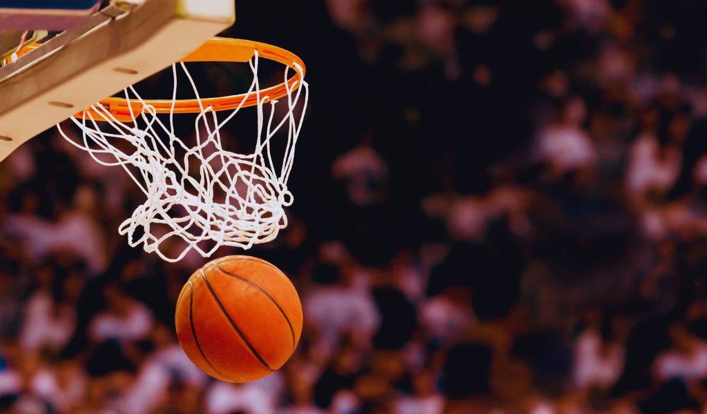 Chaussure de basket-ball